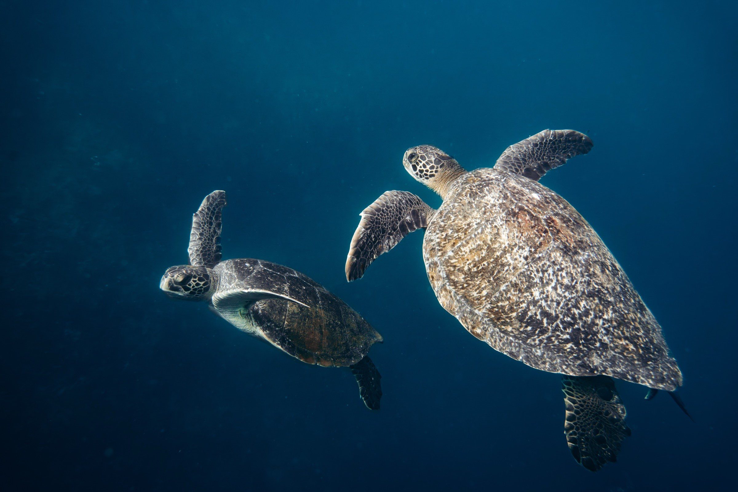 Underwater